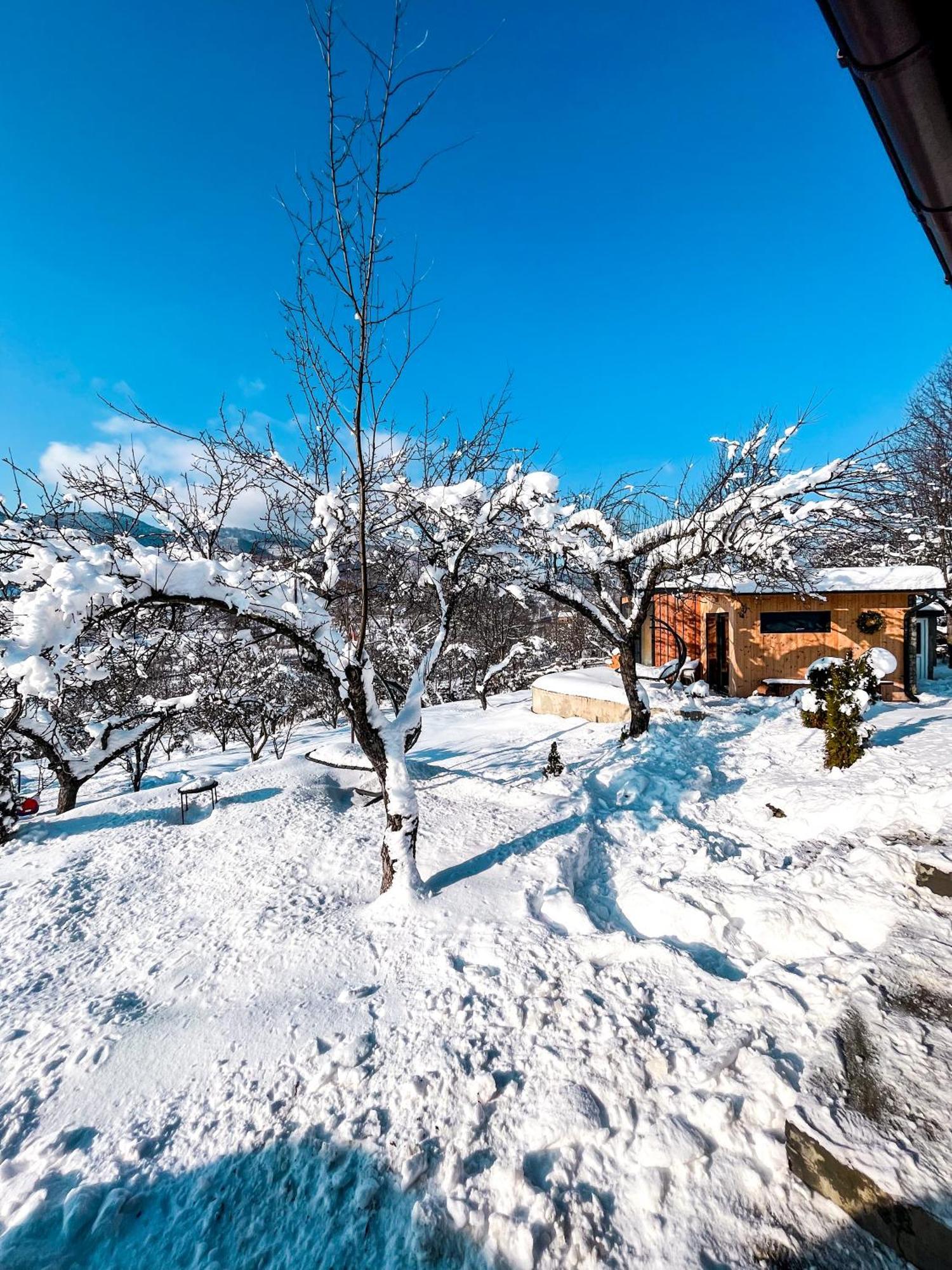 Elysian Fields - The Island Tiny House Bed and Breakfast Sadu Eksteriør billede