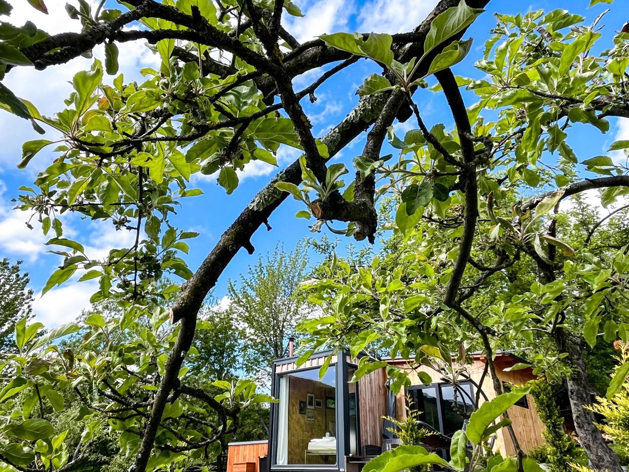 Elysian Fields - The Island Tiny House Bed and Breakfast Sadu Eksteriør billede